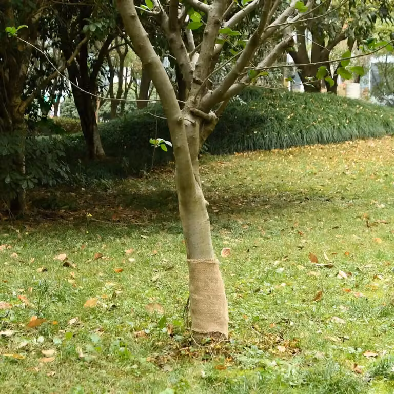 Rotolo in iuta vidaXL beige per decorazione da giardino, 0,25 x 100 m, 200 gsm