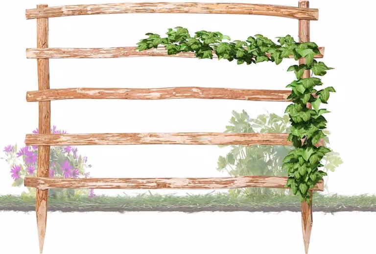 Supporto naturale in legno per piante rampicanti, altezza 180 x larghezza 180 cm, disponibile in 33 diverse misure per le vostre piante rampicanti
