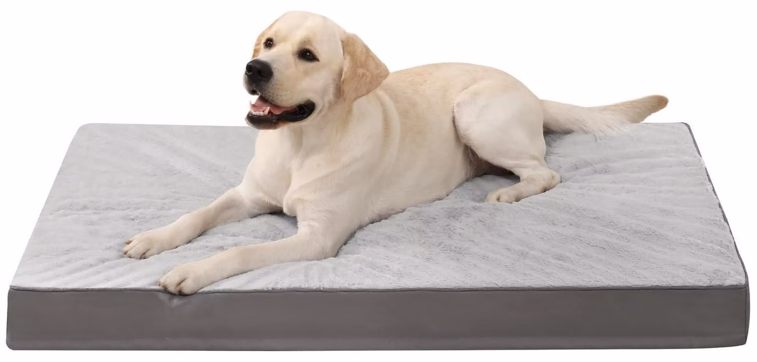 Cuccia ortopedica per cani, lavabile, taglia XL, 104x68 cm, grigia