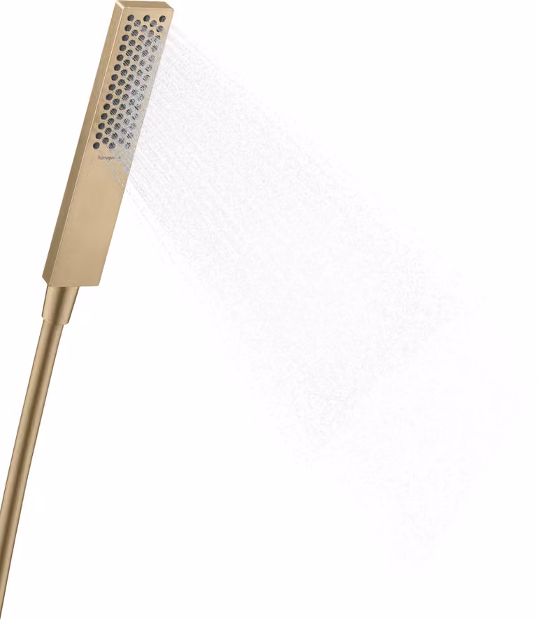 hansgrohe Pulsify E Douchette à main 100, 1 type de jet EcoSmart, 24320140, 24320140