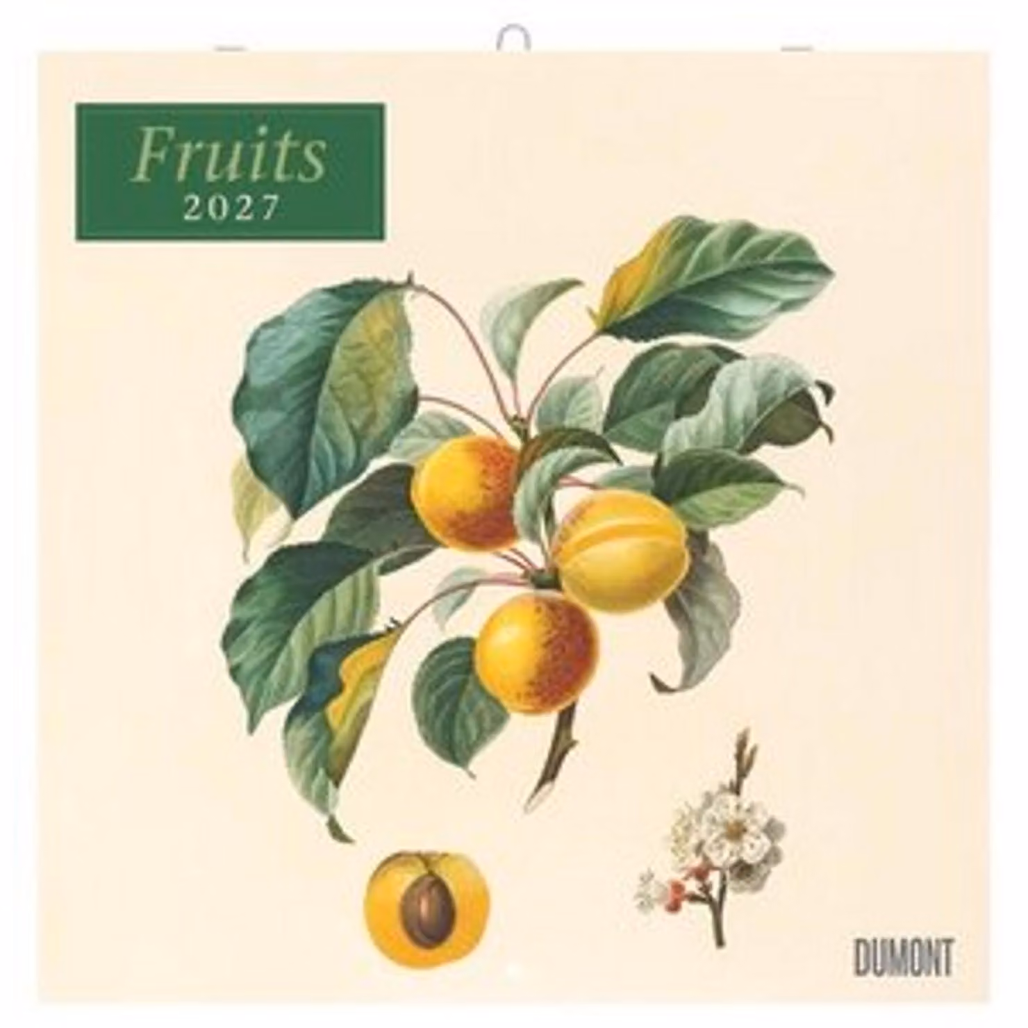 Frutta 2027