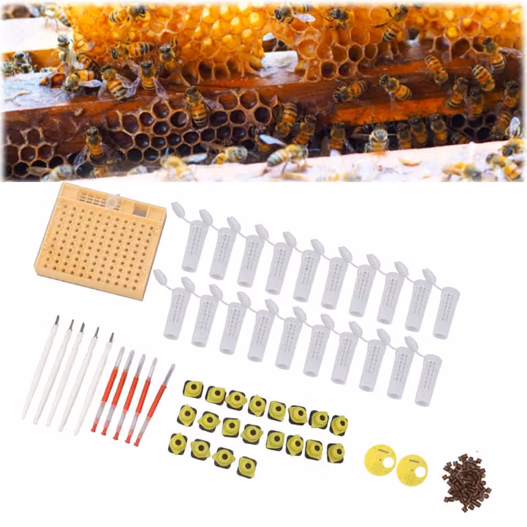 Kit per l'allevamento di api regine, contenente 110 vasetti per larve, in plastica, accessori per apicoltori