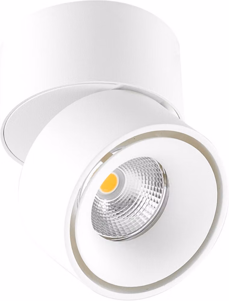 EVN Lichttechnik LED spot a plafone AS20090102