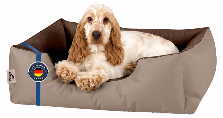 BedDog letto per cani LUPI divano per cani cuscino per cani lavabile, NAMIBSAND (beige/marrone), (S) circa 55x40x17cm