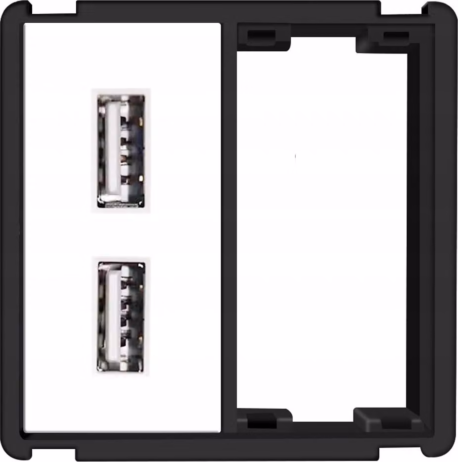 Modulo presa di corrente USB 2x 2,4A Sistema RTX SH