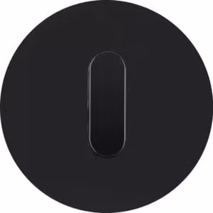 Berker 1001205500, Nero, Termoplastica, Berker, R.classic, 80,7 mm, 80,7 mm