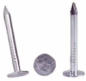 Chiodi zincati per tetti, 3,0 x 30 mm, confezione da 5,0 kg - codice prodotto: 902 30 5ZN