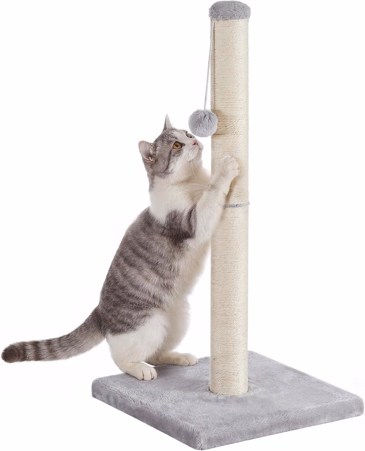 Albero per gatti da 84 cm | Tiragraffi con sisal naturale e pallina in peluche | Base stabile e design salvaspazio | Grigio chiaro