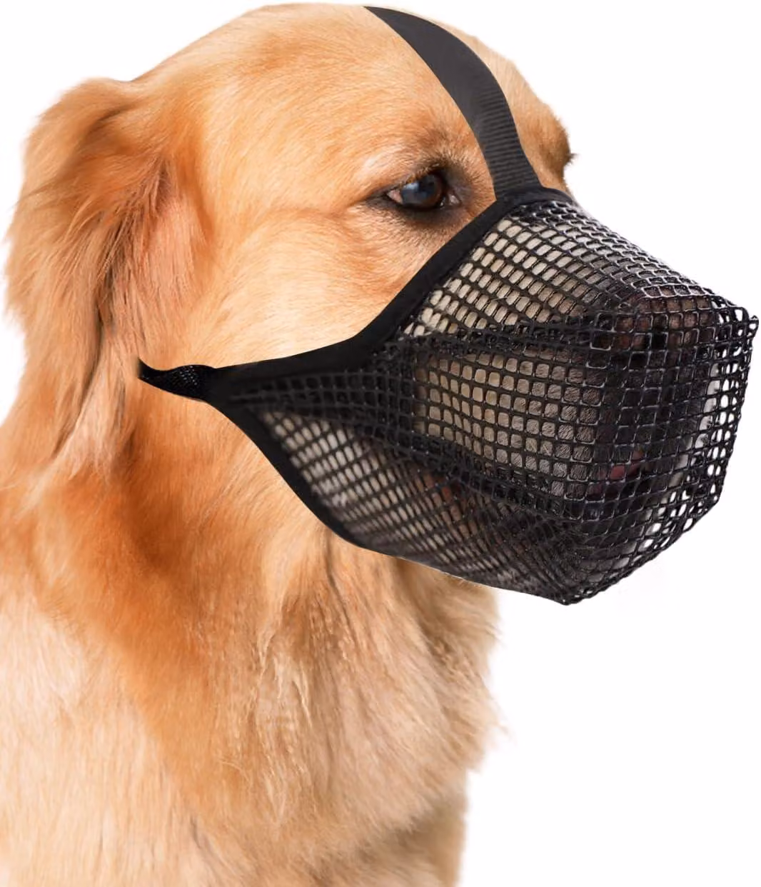 Museruola traspirante in mesh, regolabile, taglia XL, adatta a cani di piccola e grande taglia