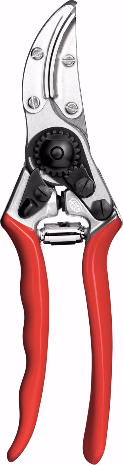 Felco Rosen- und Blumen-Präsentierschere Felco 100