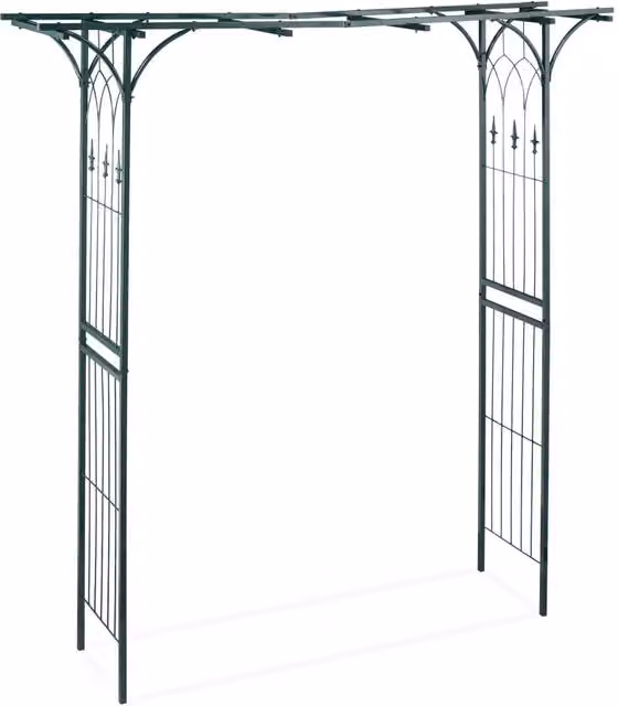 Arco per rose design rettangolare da giardino per piante rampicanti e panchina comfort 200 x 100 x 50 cm in acciaio nero 13_0004993