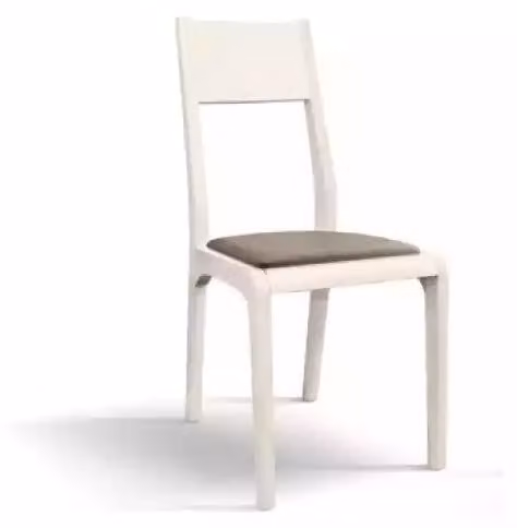 Esszimmerstuhl Küchenstuhl Wohnzimmer Stuhl aus Beine aus holz