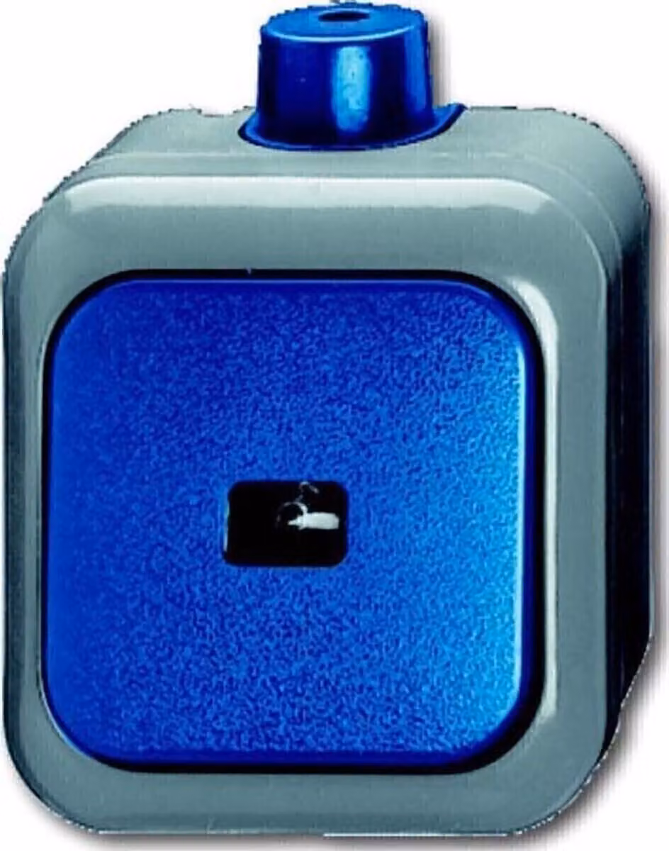Busch Jaeger 2621 WDI Elektroschalter 1P Grün - Grau (1483-0-0171)