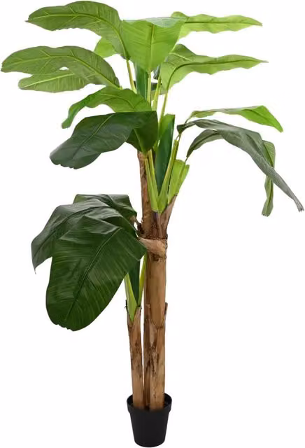 Albero di Banana Artificiale Verde DESIGN IN L/P/H: 125 x 25 x 250 cm CFW9514186