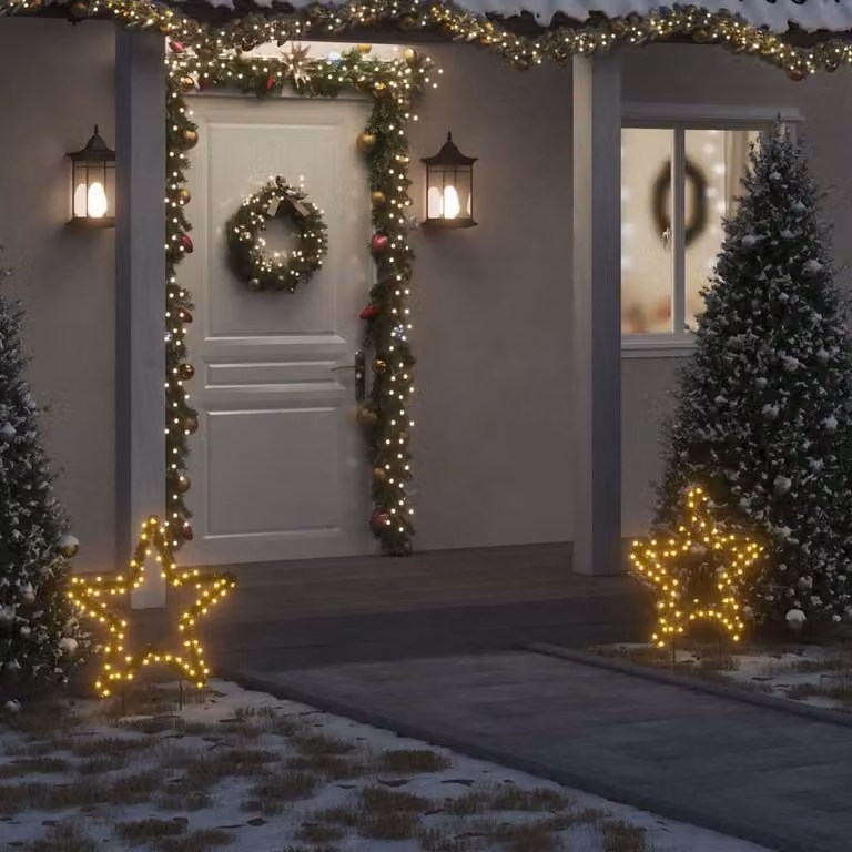 vidaXL Decorazione Luminosa Natalizia a Stella con 80 LED Bianco Caldo e Picchetti per Giardino, Altezza: 60 cm
