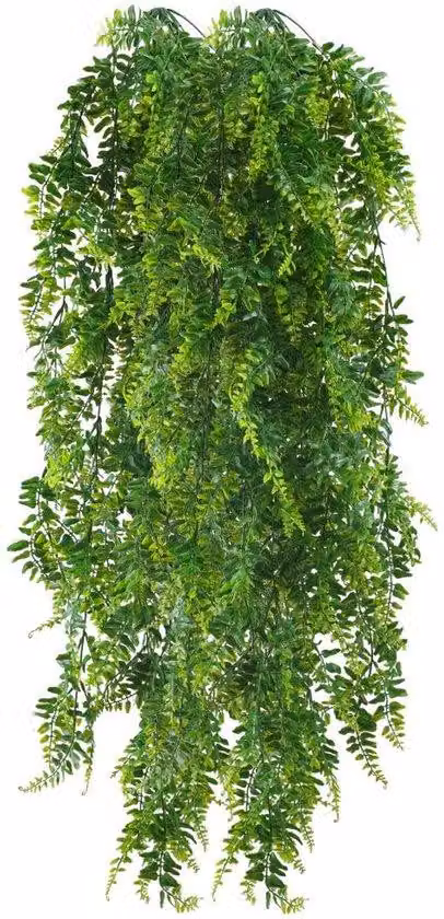 Set di piante - Piante da interno - Set da 2 - 115 cm - Verde