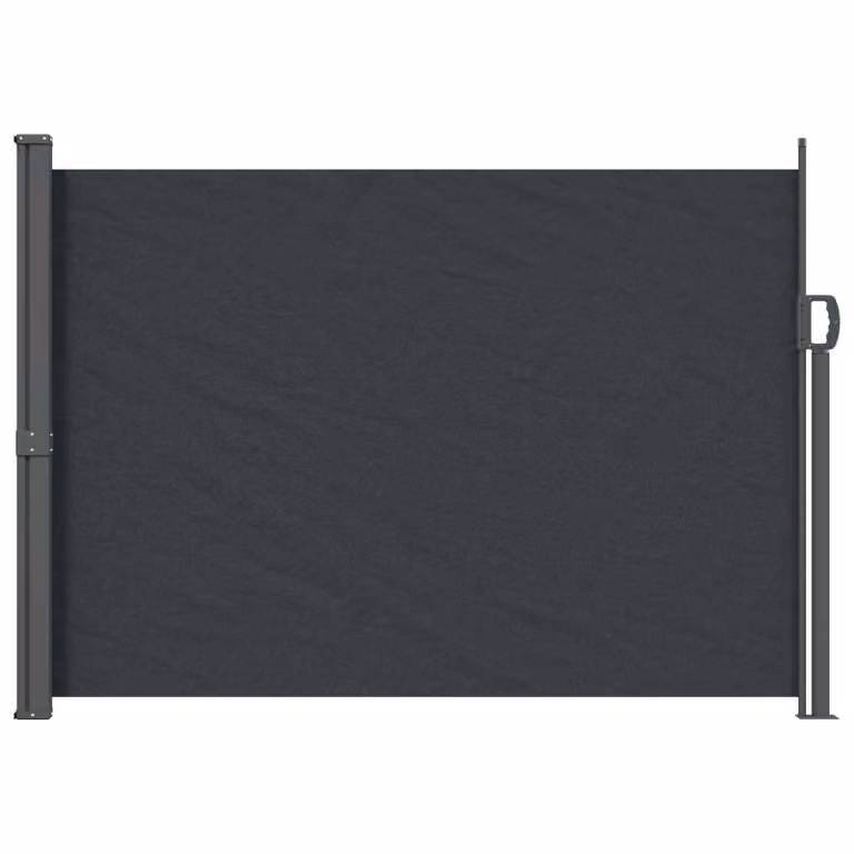 Tenda laterale retrattile manuale vidaXL in poliestere e acciaio, L: 300 cm, H: 120 cm, disponibile in nero o antracite