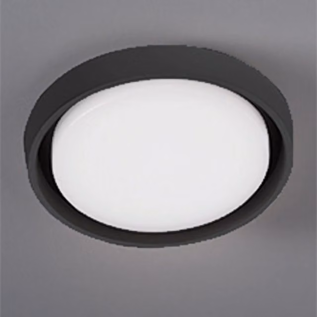 Alu Lampada da Parete e Soffitto a LED Grigio Scuro 30W 3000K IP54, Design Moderno Circolare con Diffusore in Policarbonato Opalino Satinato