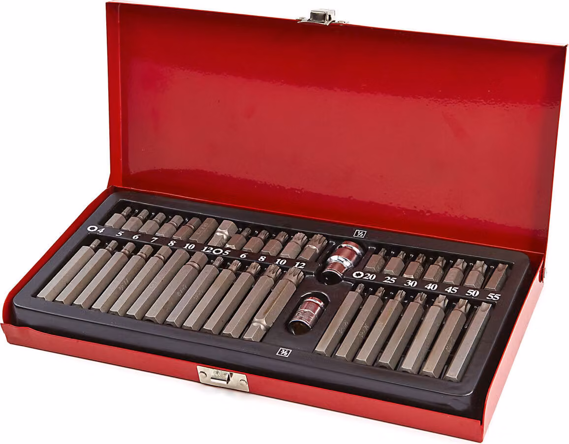 Set di 40 pezzi con chiavi a Esagono, chiavi Torx e cacciaviti, completo di adattatore per punte e custodia porta-attrezzi