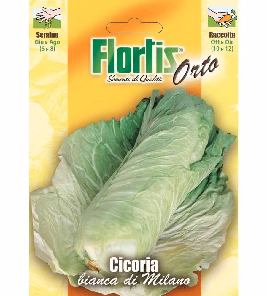 Flortis Semi Cicoria Bianca di Milano 20g - 10 buste per semina estiva