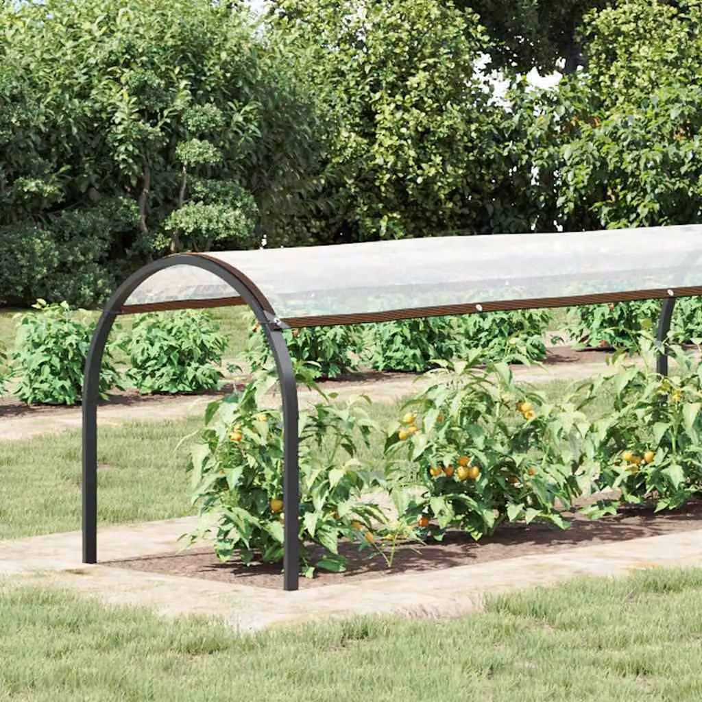 Telone Trasparente con Occhielli 1x8 m in Polietilene