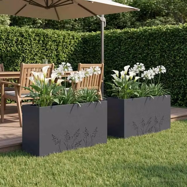 Vaso da giardino 2 pz Antracite 100 x 30 x 49 cm 8005867