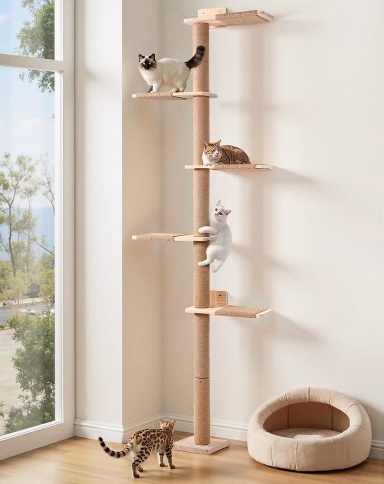 Albero per gatti, altezza 213 cm, 5 piani, da montare a parete, con sisal e legno