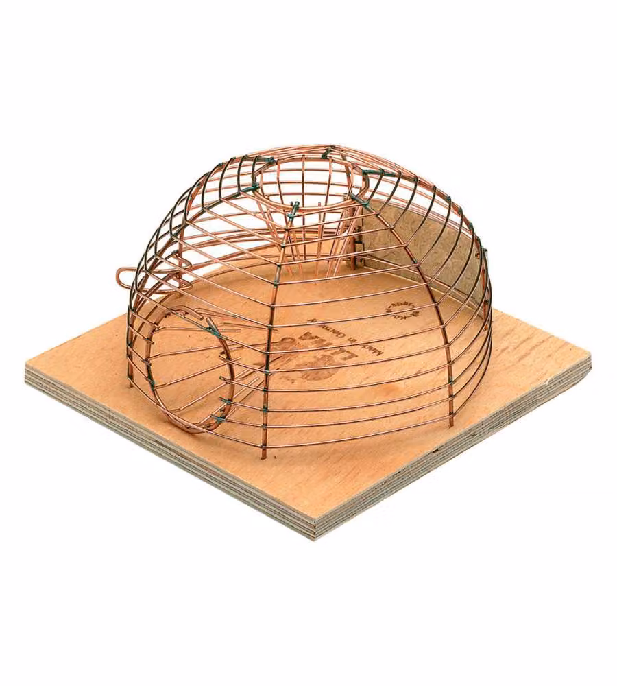 Trappola per topi a cestello