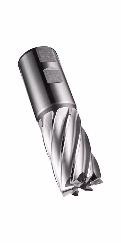 Fresa a candela C247 DIN 844 K D.26mm Lunghezza del tagliente 45mm HSS-E-PM Grezzo 30 gradi Z.6