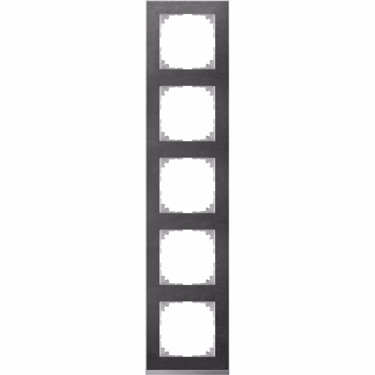 Merten Cornice per decorazioni a 5 ingressi MEG4050-3669