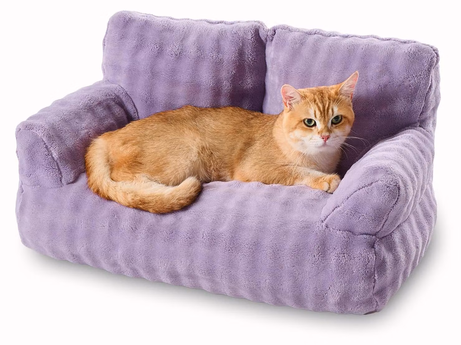 Cuccia per gatti, dimensioni 66x38 cm, rivestimento removibile, color lilla