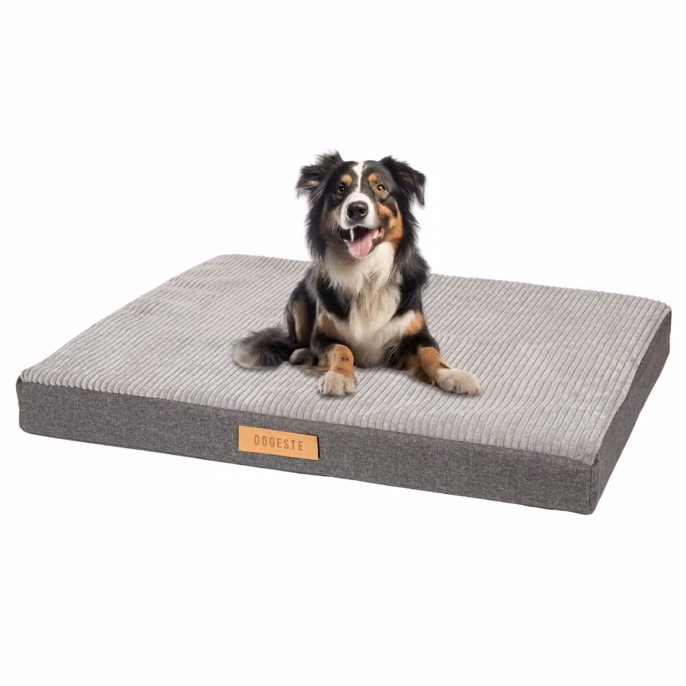 Letto ortopedico per cani XXL, materasso per articolazioni, fodera lavabile