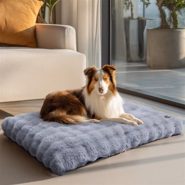 WISFOR letto ortopedico per cani divano per cani divano per cani cuscino per cani grande posto letto, impermeabile lavabile rivestimento rimovibile 2XL: 120x90x12 cm, grigio