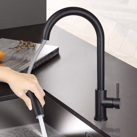 Rubinetto da cucina in acciaio inossidabile opaco nero - Lavello estraibile per lavastoviglie con doccetta, rotazione a 360 gradi, due getti d'acqua e design elegante.