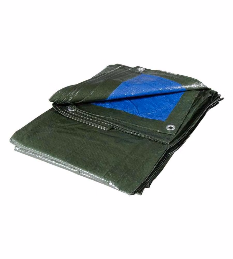 Verdelook Telo Occhiellato Multiuso - Blu/Verde - 3x2 m