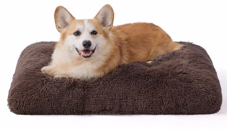 Materassino morbido per cani – Materassino lavabile – Cuscino antistress – Base antiscivolo – 74 x 53 cm – Supporta muscoli e articolazioni – Materassino per animali domestici