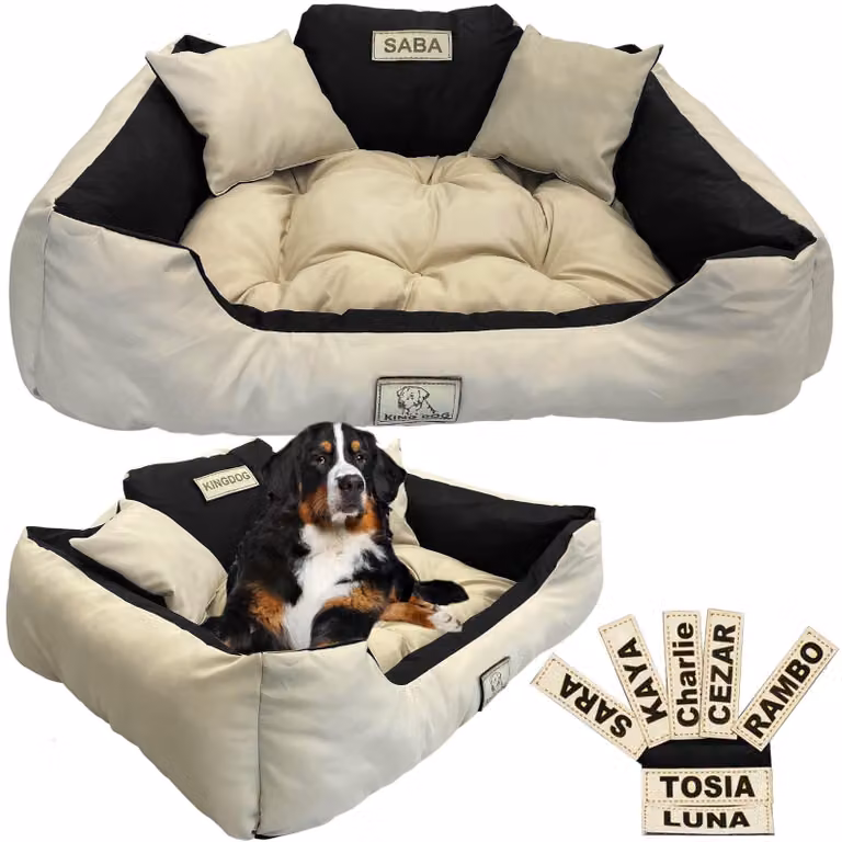 Cuccia personalizzata per cani di tutte le dimensioni, completa di cuscini