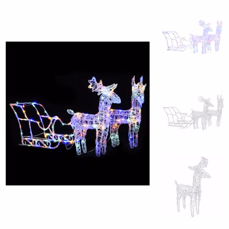 vidaXL Renna e slitta Decorazione natalizia 160 LED 130 cm acrilico - Illuminazione natalizia