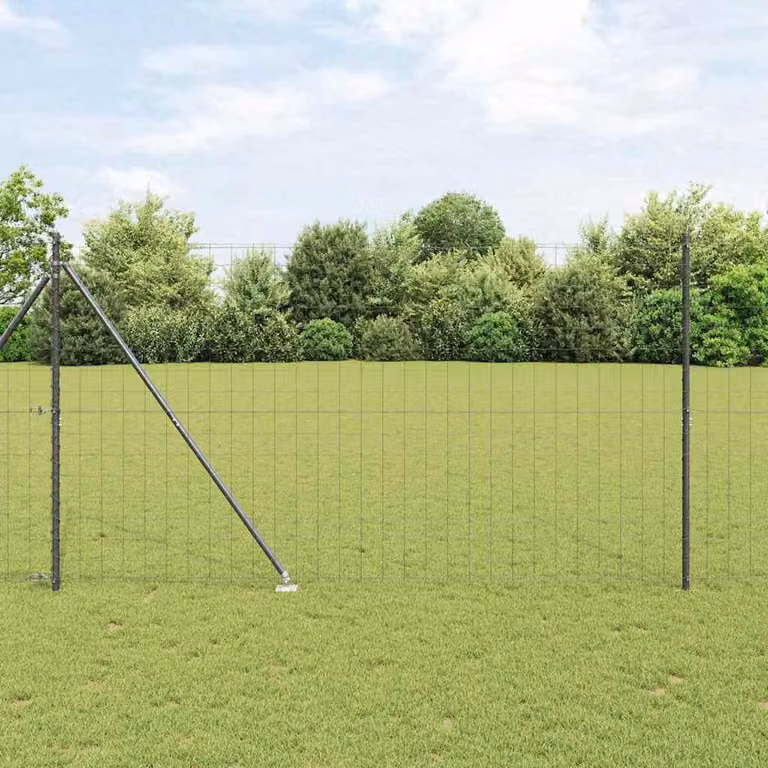 Maison Exclusive - Recinzione con Posto Grigio 1,6 x 10 m Acciaio e PVC