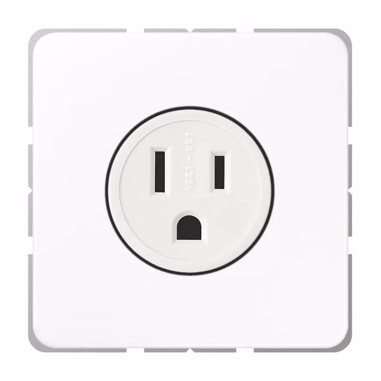 Jung CD521-15WW Presa standard USA NEMA bianco alpino