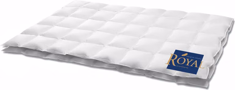 HANSKRUCHEN Royal piumino in piuma 200x220 cm extra leggero 100% piumino d'oca lavabile per allergici piumino estivo traspirante bianco