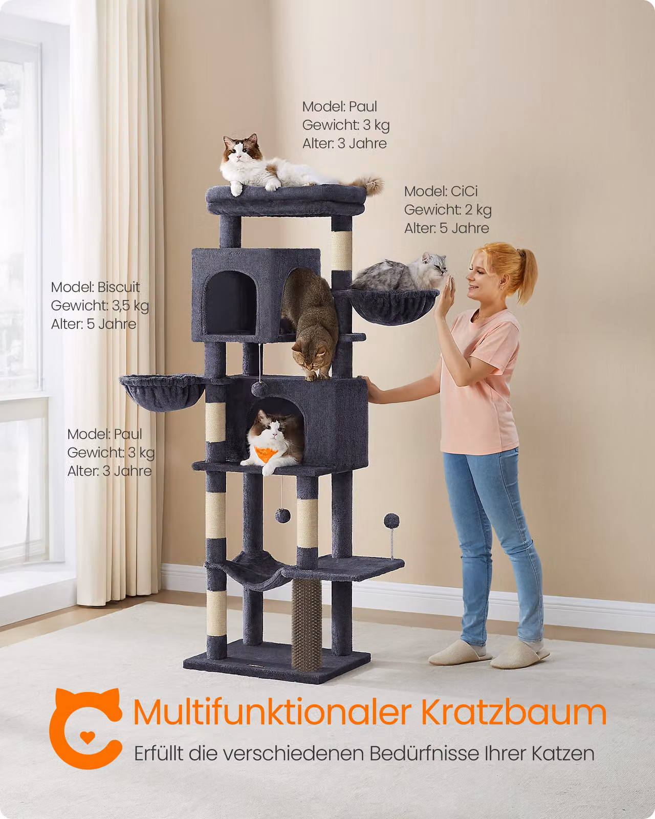Feandrea: tiragraffi grande, XL, tiragraffi a più piani con tane e cucce