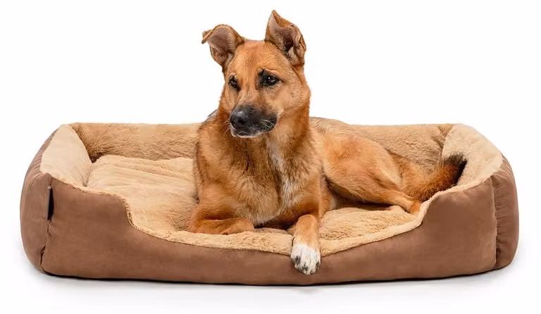 Cuccia per cani, 90x70 cm, marrone e beige, con base antiscivolo, cuscino reversibile, per cani