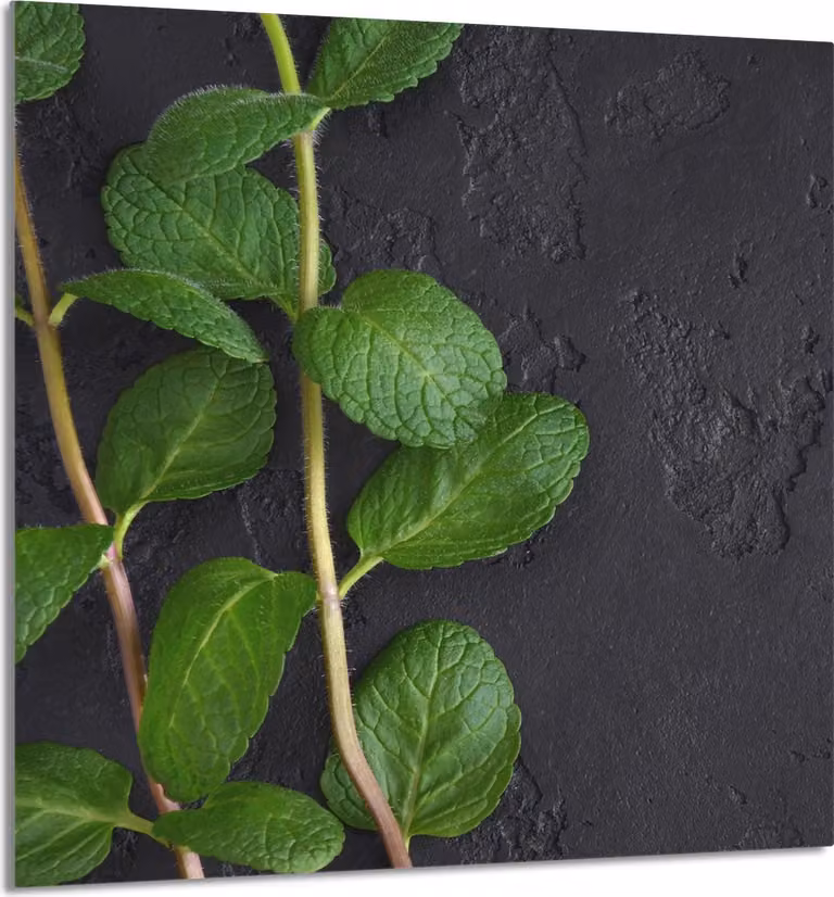 PIATTO IN VETRO PER CUCINA 60x65 Menta