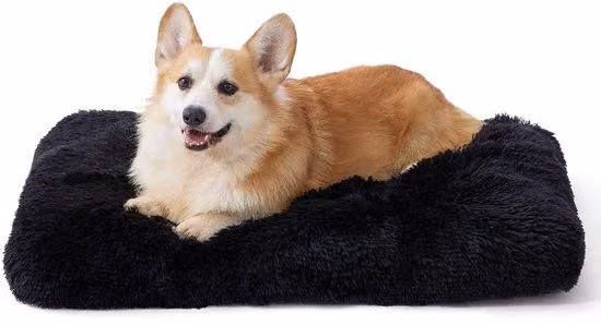 Cuccia morbida per cani 74x53x8 cm, lavabile, antiscivolo, nera