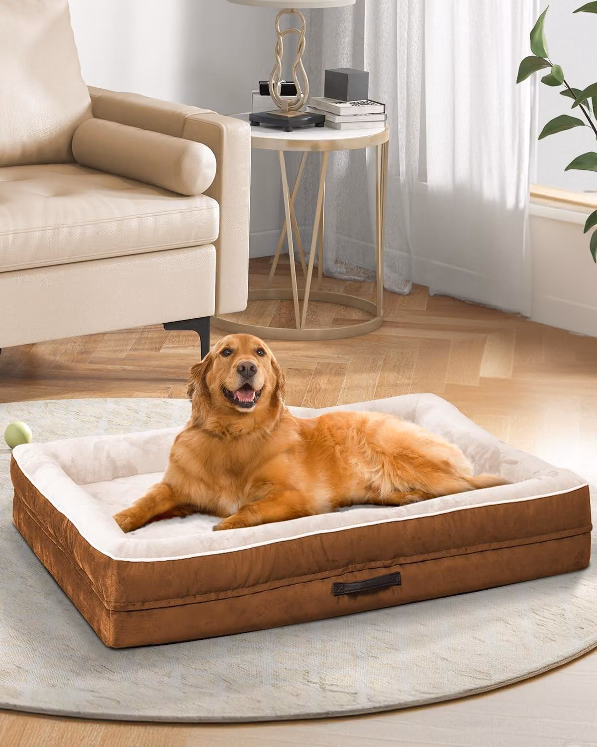 Letto ortopedico per cani, taglia XL, con coprisedia lavabile, color marrone