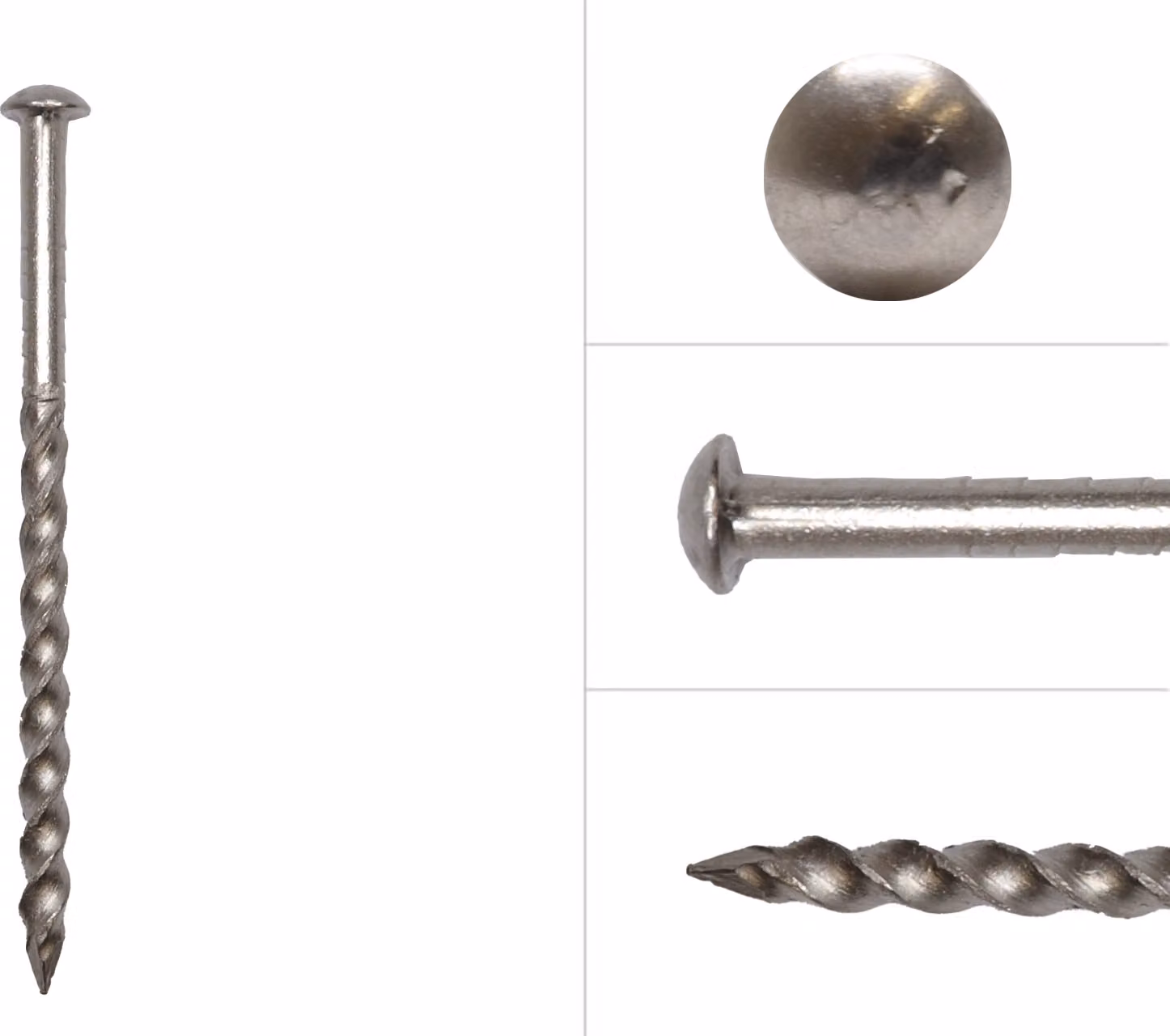 Chiodi a vite in acciaio inox a testa tonda 3,2 x 55 mm - 500 g