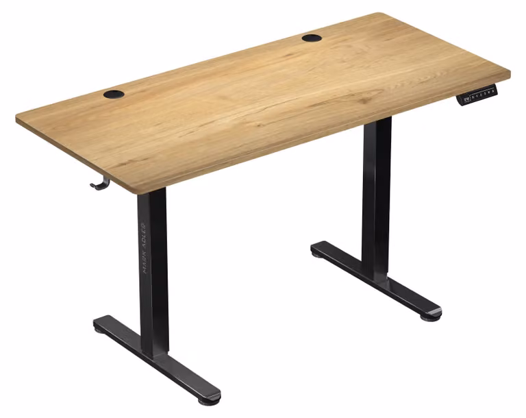 Scrivania regolabile in altezza, elettrica - 120 x 60 cm - Legno di faggio - Struttura in metallo - Scrivania da gaming