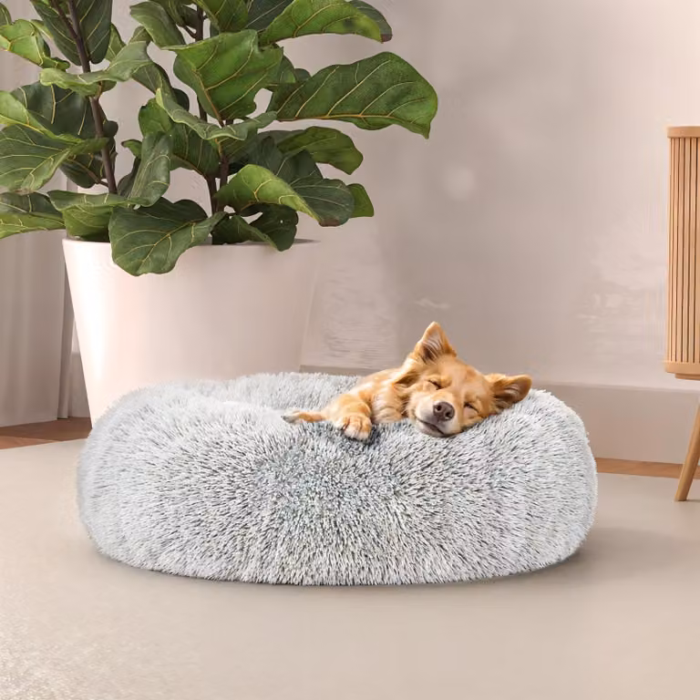 Italian Bed Linen Dreams: Cuccia morbida per cani e gatti, color crema, 50 x 50 cm