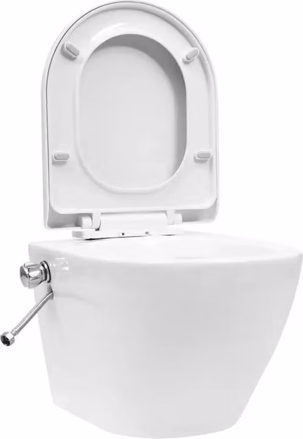 Toilette senza Bordo Sospesa con Funzione Bidet Ceramica Bianca CFW9218781